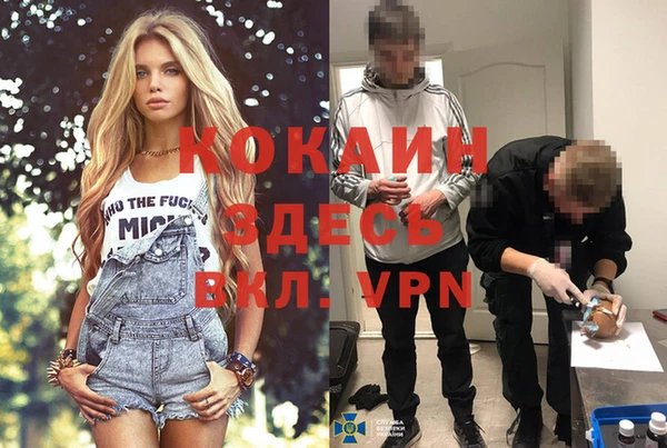 ешки Аркадак