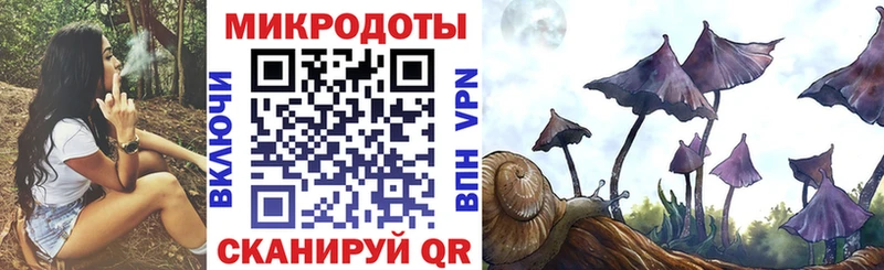 Псилоцибиновые грибы Psilocybine cubensis  Арск 